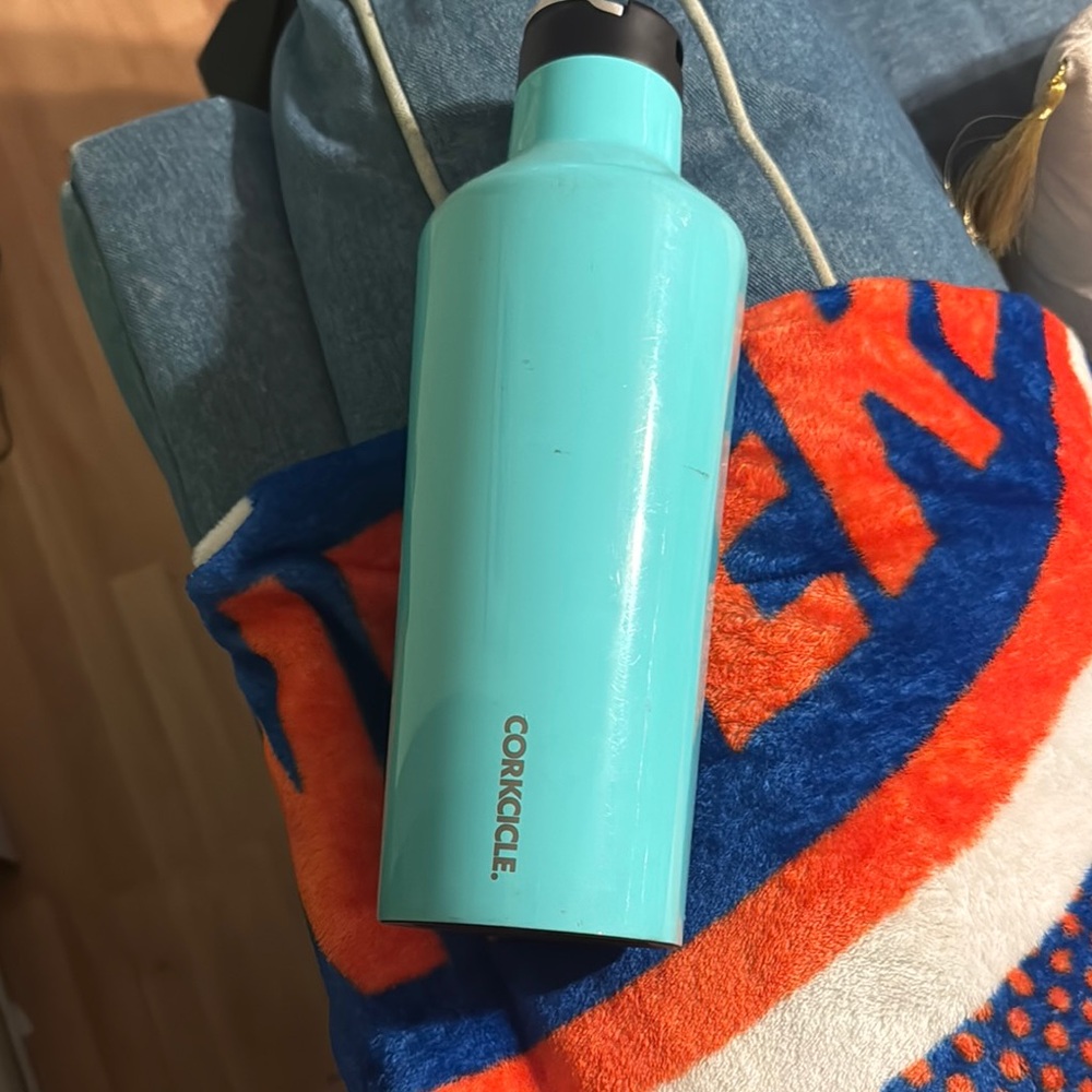 Corkcicle Aqua Bottle